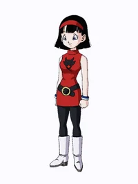 Videl DBS 