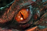 Smaug