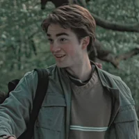 Cedric Diggory 