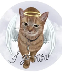Cala the singing cat