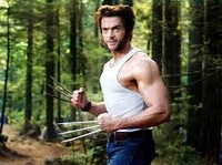 Wolverine