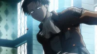Levi ackerman
