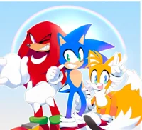 TEAM-SONIC -SH-