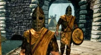 Corrupt Skyrim guard