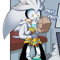 Silver the hedgehog