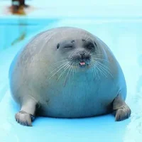Seal