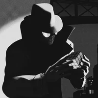 Spider Noir