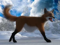 Fox 