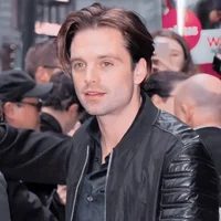 Sebastian stan 