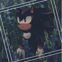 Shadow the Hedgehog