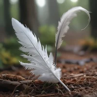 Magic feather 
