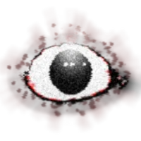 Seek