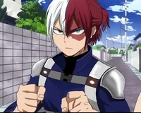shoto todoroki 