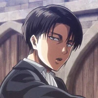 Husband levi