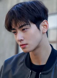 Cha Eun Woo