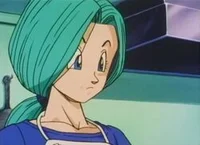 Bulma