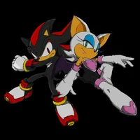 Shadow and Rouge
