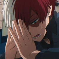 Shoto Todoroki