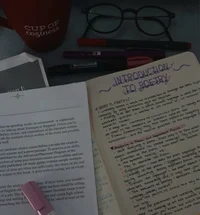 English Teacher User