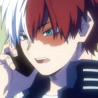 Shoto Todoroki 