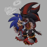 Sonadow werehog 
