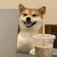 Shiba CoWorker Genji