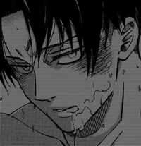 Levi Ackerman 
