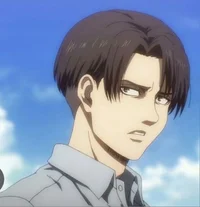 Levi Ackerman 