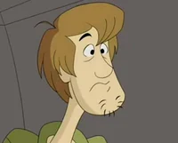 Shaggy Rogers