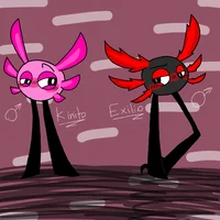 Kinito and ExilioPET