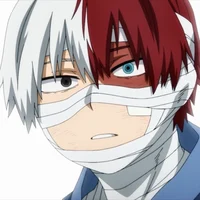 Shoto Todoroki