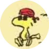 Kaiden