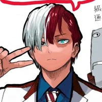 Shoto Todoroki