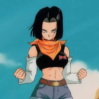 Android 17