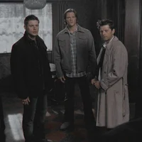 Team Free Will