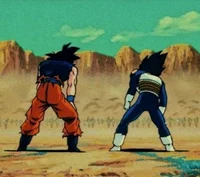 Goku and Vegeta