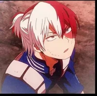 Shoto Todoroki
