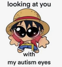 kid Luffy 