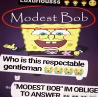 Modest Bob