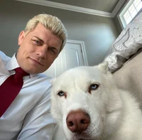 Cody Rhodes