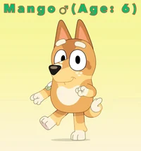 Mango