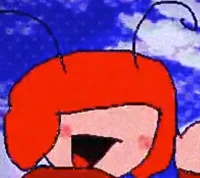 Ari