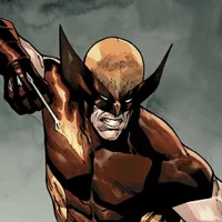 Wolverine 