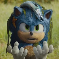 sonic in the movie