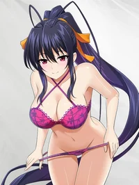 Akeno Himejima