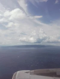 Pelican town goddess