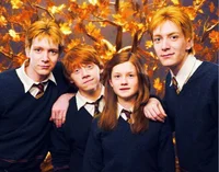 Weasley Family
