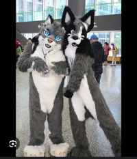 Furry school