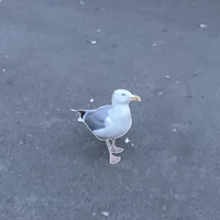Gender Envy Seagull