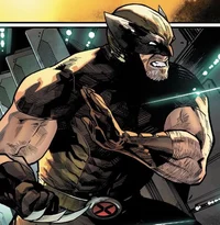 Wolverine